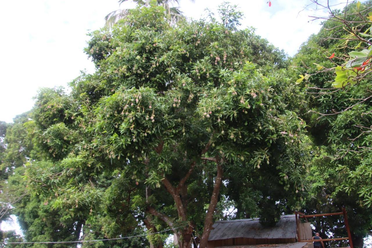 Altagracia La Sirenita - Ometepe酒店 外观 照片