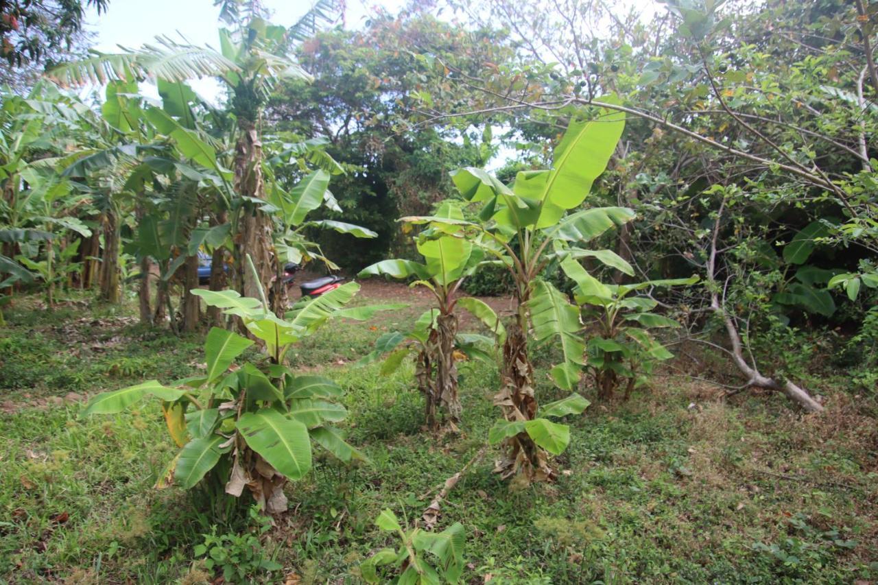 Altagracia La Sirenita - Ometepe酒店 外观 照片